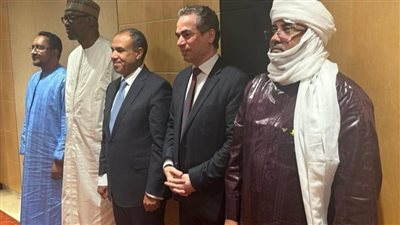 المسلماني في مالي: الأمن الحضاري للعالم الإسلامي يبدأ من تمبكتو