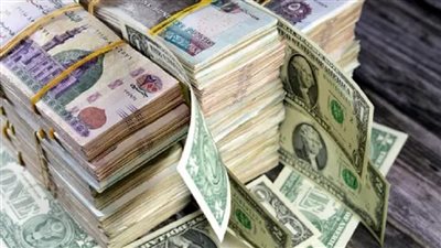 كيف تصبح غنيا؟.. بين الواقع والطموح وخدع الثراء السريع