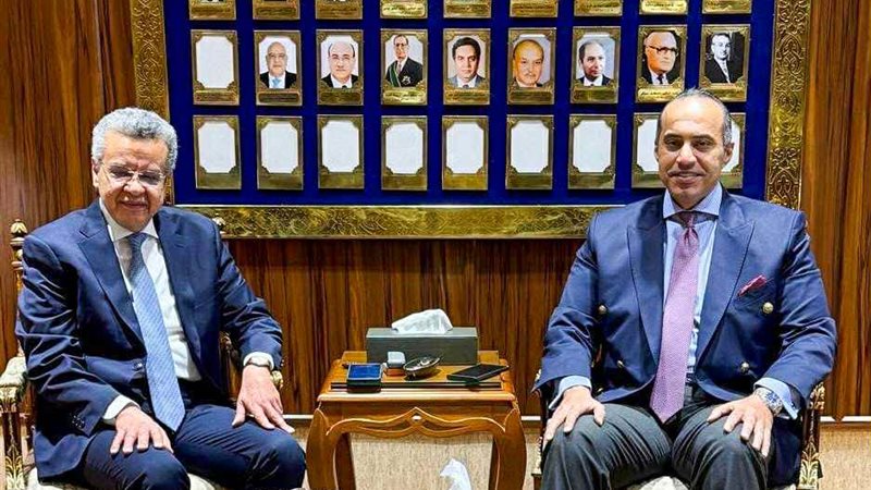المستشار محمود فوزي