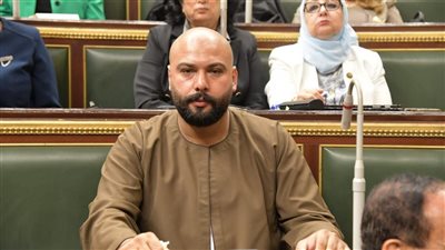 إبراهيم الديب: حملات مجتمعية لمواجهة المحتوى المخل على التيك توك
