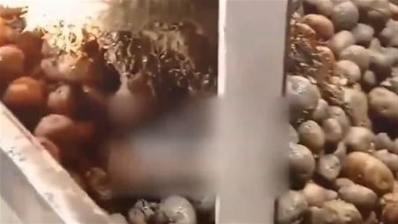 صورة من الفيديو المتداول
