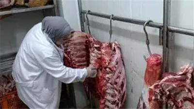 شعبة القصابين تكشف تحركات رقابية لوضع الجزارين المخالفين تحت مقصلة القانون|خاص