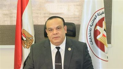 الهيئة الوطنية تكشف عن استعدادات شاملة لانتخابات مجلس الشيوخ 2025| فيديو