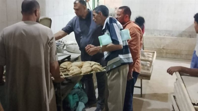 تموين المنيا