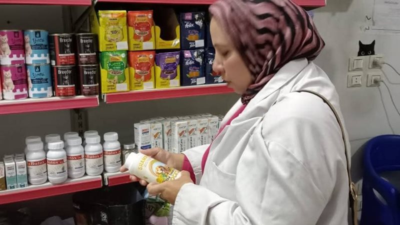 جانب من الحملات