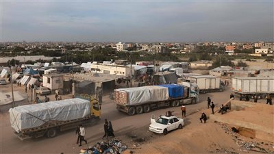 أستاذ علوم سياسية: مصر تواصل دعم فلسطين بثبات رغم التحديات المتصاعدة