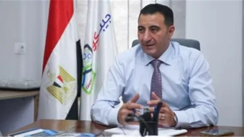الدكتور السعيد غنيم