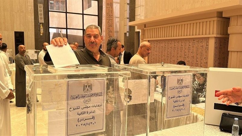 انتخابات المصريين