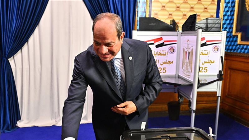 الرئيس السيسي يدلي