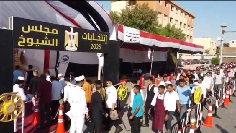  انتخابات مجلس الشيوخ