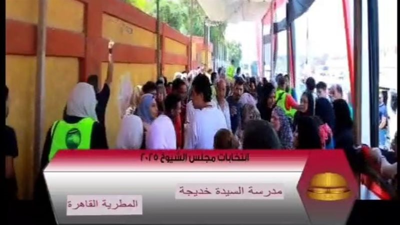 انتخابات مجلس الشيوخ