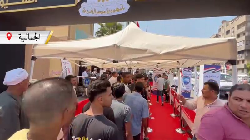 انتخابات مجلس الشيوخ