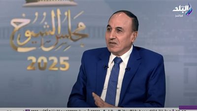 عبدالمحسن سلامة: لا ديمقراطية حقيقية بدون مجلس الشيوخ |فيديو 