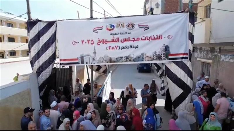 انتخابات الشيوخ
