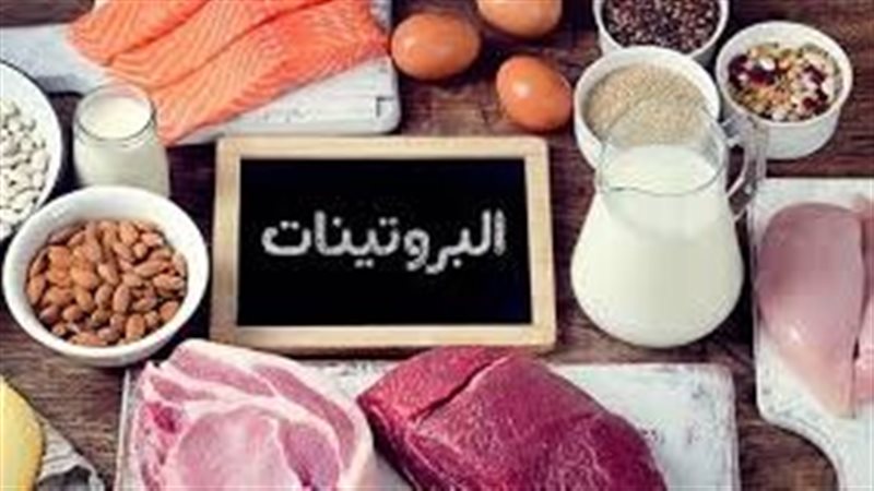 ما مصادر الكرياتين