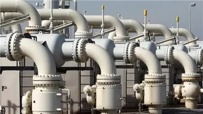 إنرجوس فورس.. سفينة الغاز العائمة تعزز أمن الإمدادات في المنطقة