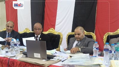 فوز قائمة ومرشحى التحالف في الفيوم بانتخابات مجلس الشيوخ