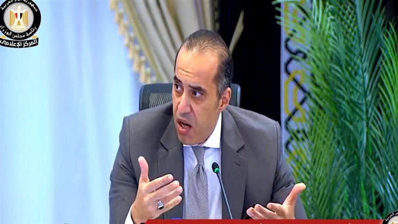 محمود فوزي