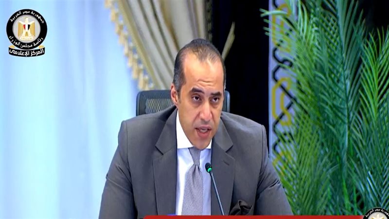 المستشار محمود فوزي