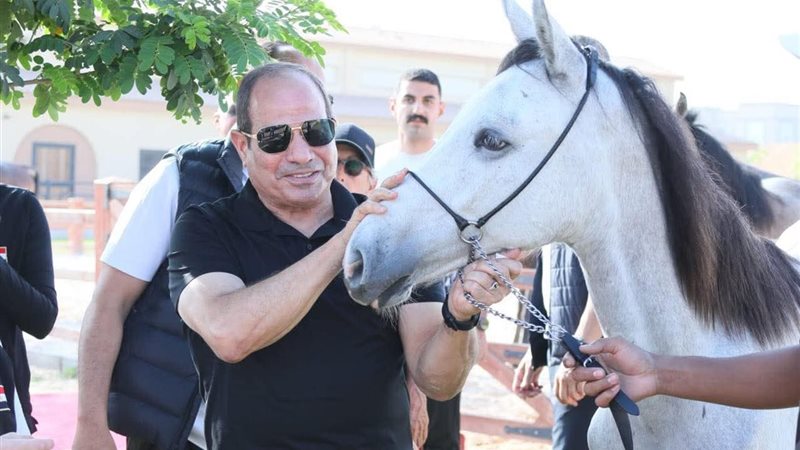 الرئيس عبد الفتاح