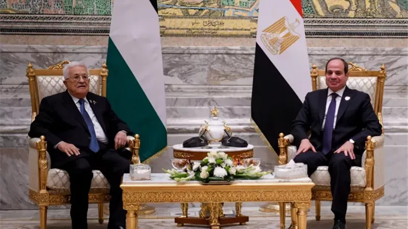 الرئيس السيسي - ونظيرة