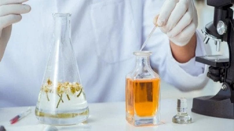 زيوت الياسمين للعطور
