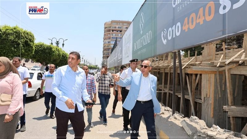 محافظ المنيا