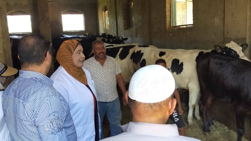 جانب من الجهود