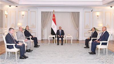 صلاح مغاوري يوضح دلالات استقبال الرئيس السيسي لوزير الخارجية التركي 