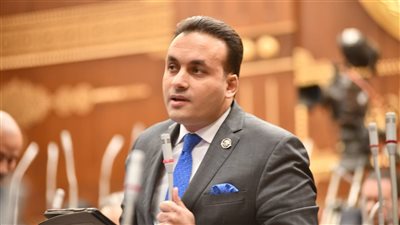 عمرو فهمي: قرار احتلال غزة انتهاك صارخ ويمثل تهديداً مباشراً للأمن في المنطقة