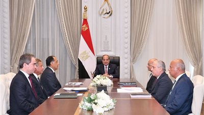 الرئيس السيسي يوجه بإتاحة البيانات والمعلومات للإعلام