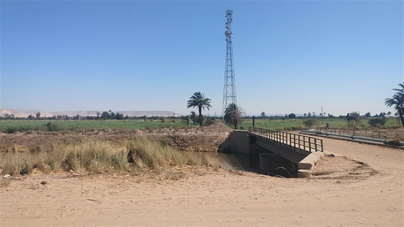 مزراع قنا الجبلية