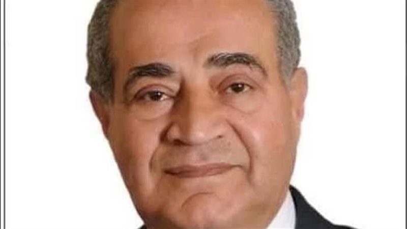 الدكتور على مصيلحي