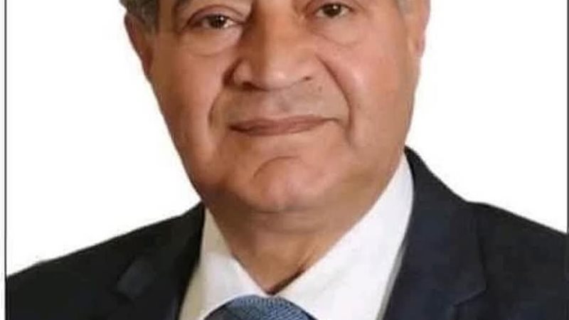 د.على المصيلحى 
