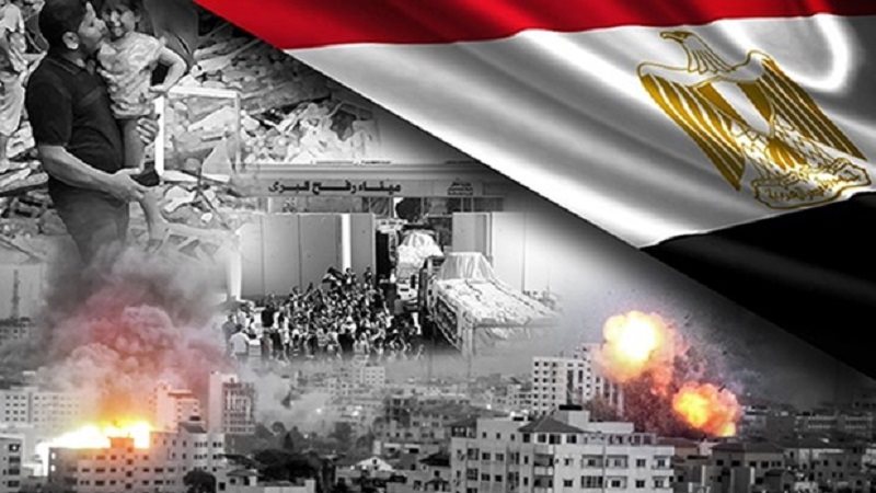 الجهود المصرية في
