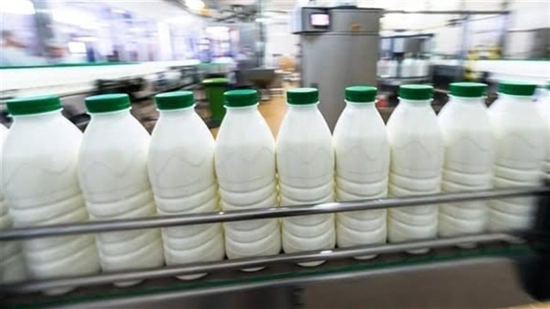 البان.... ارشيفية
