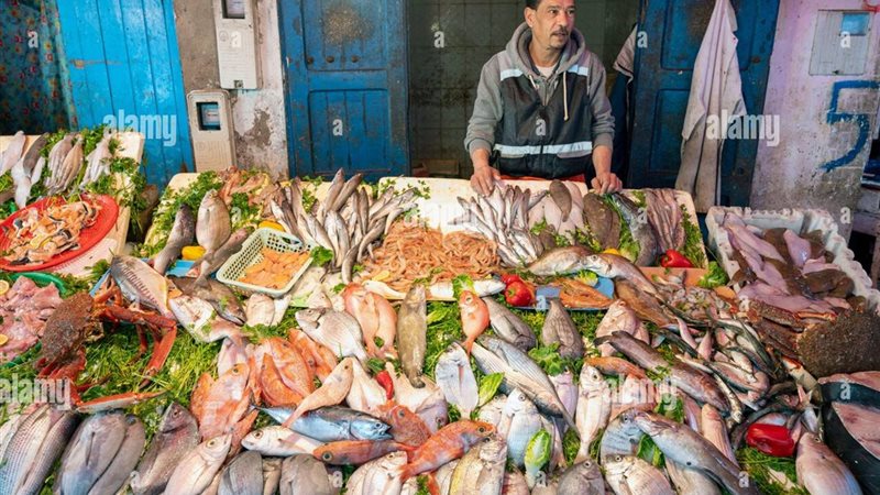 أسعار السمك في مصر