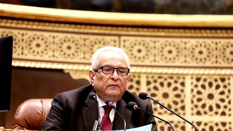 المستشار بهاء ابوشقة