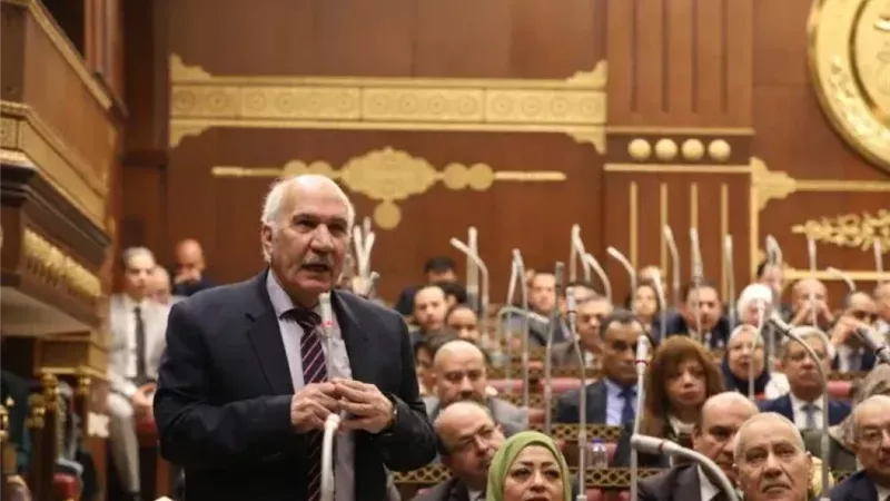 النائب السيد عبد
