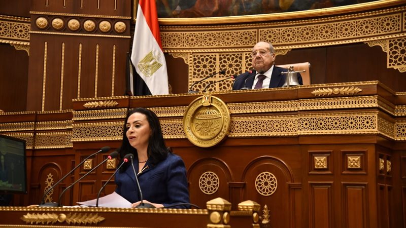 الدكتورة مايا مرسي