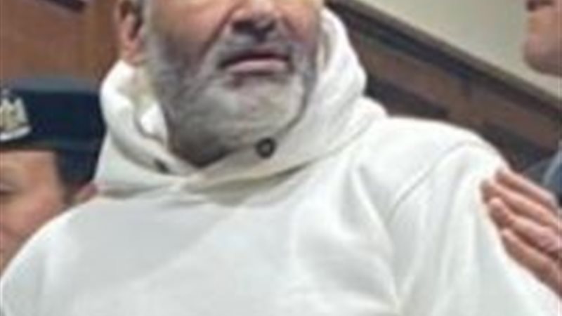 علاء حسانين