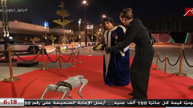 رامز إيلون مصر