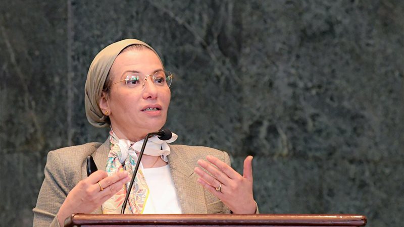ياسمين فؤاد وزيرة