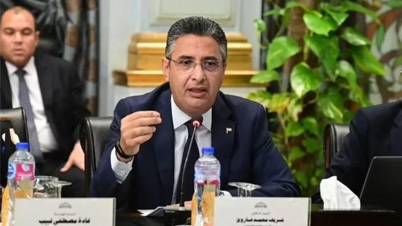 شريف فاروق وزير