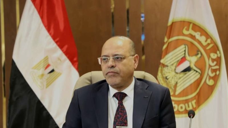 وزير العمل