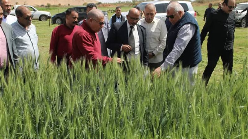 محافظ الوادي الجديد