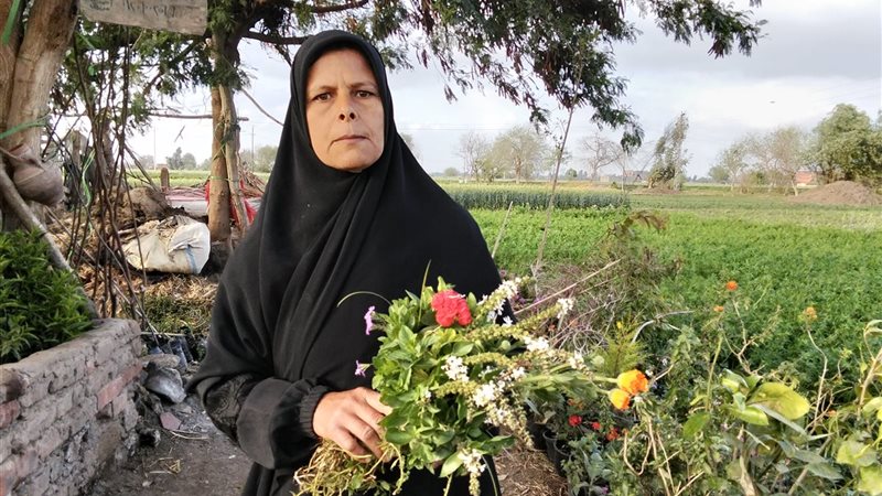 صورة سيدة المشتل