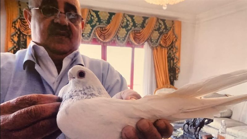 ماهر حزين