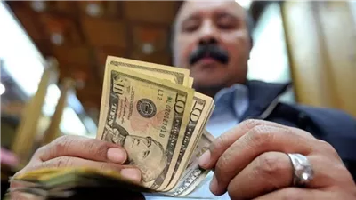 محلل اقتصادي: تحويلات المصريين بالخارج من أهم مصادر النقد الأجنبي (فيديو)