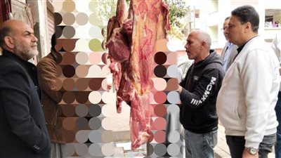 ضبط أكثر من ربع طن دواجن ولحوم بلدية ومجمدة مجهولة المصدر بالمنوفية